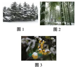 基于儿童视角的童诗诵读与创意表达
