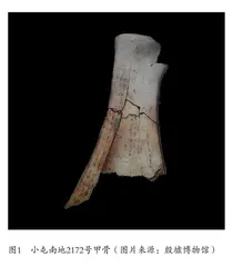 甲骨文知识的普及与传播新途径 