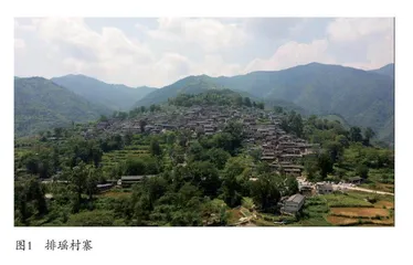 国家级非遗传承人记录工作的实践 