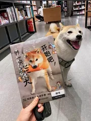猫狗成年轻人“情绪充电宝”2