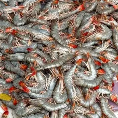 蟹棒没蟹 鱼丸没鱼  仿生食品不含真虾真蟹1