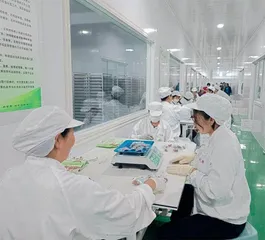 让消费者从“被动购买”转向“生态共建”