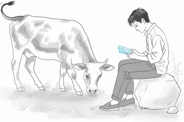 牛拍打尾巴的哲学