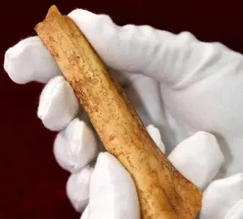 在周原,寻找那座3000多年前的城4