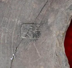 在周原,寻找那座3000多年前的城6