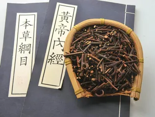 钩藤：对对弯钩叶腋生5