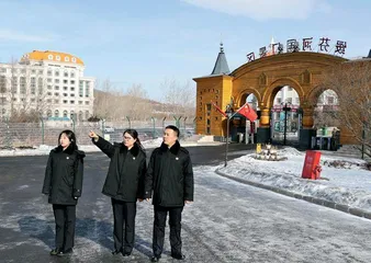 边境小城的国门守护人2