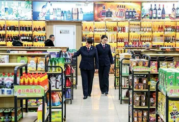 边境小城的国门守护人6