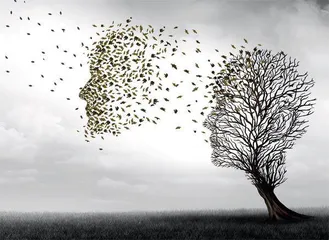 困在时间里的老人0
