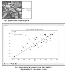 网罗千象，析其机要