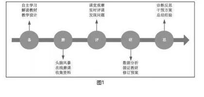 “双新”背景下基于智能研修平台的循证课例研究