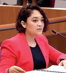 新加坡反对党的“谎言罗生门”1