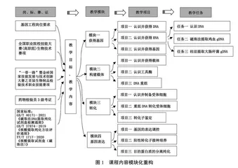 高职院校基因工程课程模块化教学探索与实践