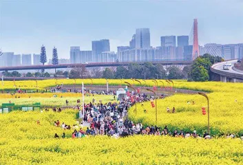 成都绿道，大有门道