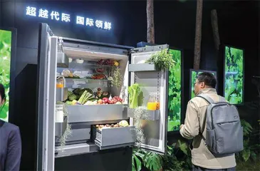 十年智慧启航“无人家务”2