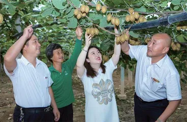“新农人”深耕江苏1