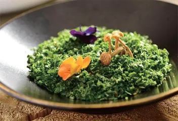 春食春菜宜有度