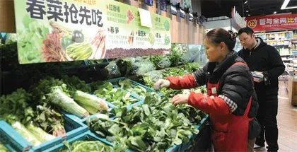 春食春菜宜有度1