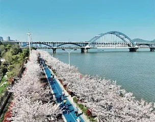 “杭州六小龙”现象的浙江密码