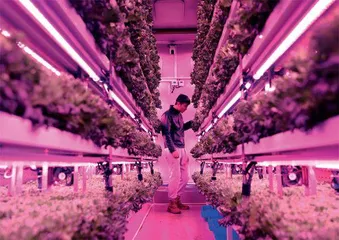 拼多多发布2024年财报，加快上行“新质供给”，继续深耕产业生态1