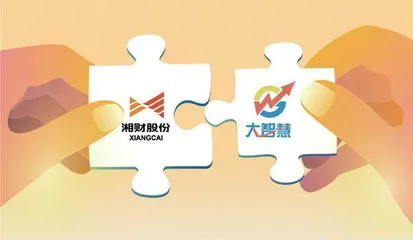 十年后，湘财、大智慧再并购