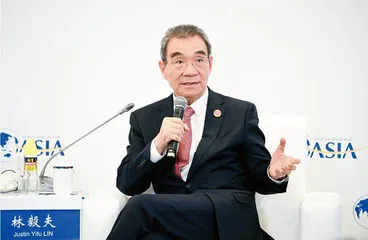 全国政协常委、经济委员会副主任、北大经济学教授林毅夫：民营企业不要在低纬度上内卷