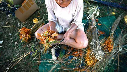巴西采花人：永不完结的故事4