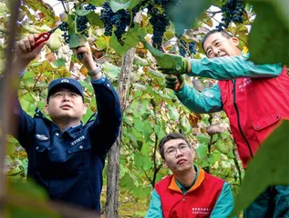 电力人助力稳边固边富边1