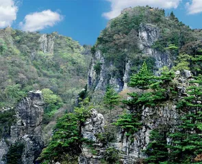 “习近平总书记的谆谆教诲，我时刻谨记，努力当好一名合格的秦岭生态卫士”1