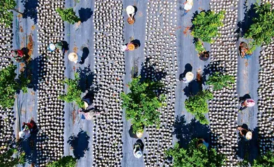 “我们始终牢记习近平总书记的重要嘱托，自觉担当职责使命，全力统筹经济社会发展、民生保障和生态环境保护”