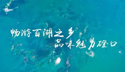 沿黄河寻宝！沙漠边为啥会有“百湖之乡”