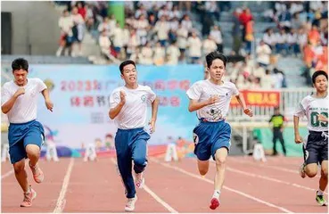 拆了注册墙苗苗遍地长