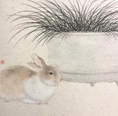 有兔爰爰 关于兔子的印象笔记5
