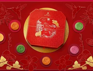 深“橙”魅力,由她调动5