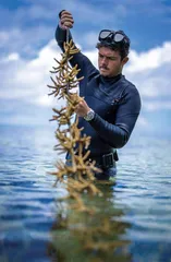 探索海洋　保护之路