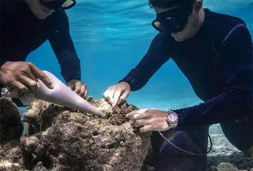 探索海洋 保护之路4