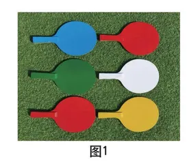 多彩反应拍的制作与应用