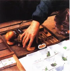 这个城市蠕动的历史1