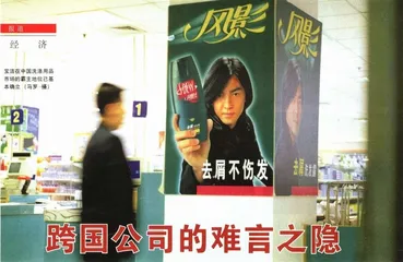 报道：跨国公司的难言之隐