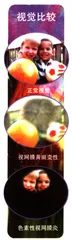 色盲眼镜与盲人芯片