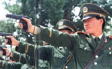 好警察 坏警察3