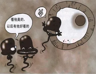 生活圆桌(126)1