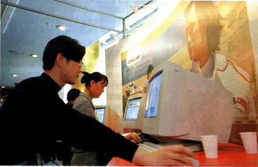 困在网中央