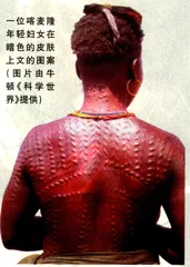 身体的言语3
