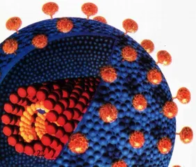 生物入侵与公众健康