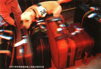 疯牛诉讼·入侵升级·气候变暖1