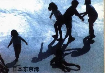 报道：可能被淹没的海牙8