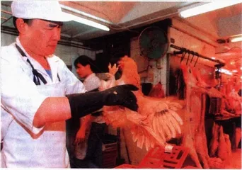 生物入侵的危险与不平等1