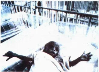 生物入侵的危险与不平等3