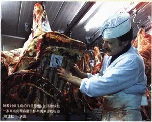 生物入侵的危险与不平等4
